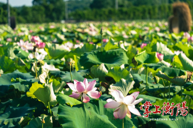 1745807731165445.png 图片 7.png