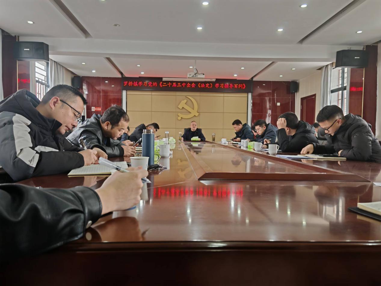 罗桥镇新时代文明实践所：学习《党的二十届三中全会〈决定〉学习辅导百问》.jpg