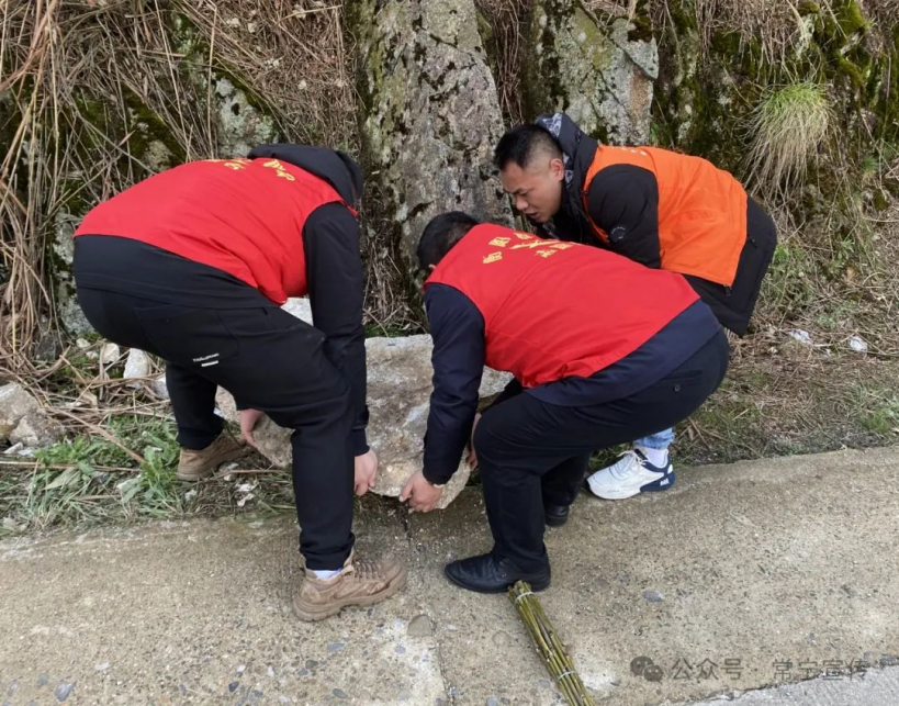 1750666187995018.png 图片 3.png